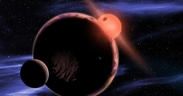 Điều này đặc biệt quan trọng trong quá trình tiến hóa của các loài và sự xuất hiện của sự sống thông minh.