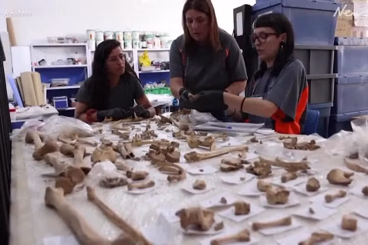 Theo kết quả nghiên cứu của các chuyên gia, 6 bộ hài cốt này đều là nam giới, sở hữu cánh tay chắc khỏe. Một số bị trói tay và bị những viên đá bao phủ.