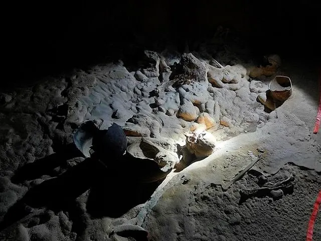 Bí ẩn thú vị nằm trong vấn đề làm thế nào hài cốt này đã trở thành một tác phẩm nghệ thuật pha lê sống động.