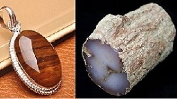 Hiện tượng gỗ hóa ngọc tạo ra những tác phẩm nghệ thuật thiên nhiên tuyệt đẹp và độc đáo.
