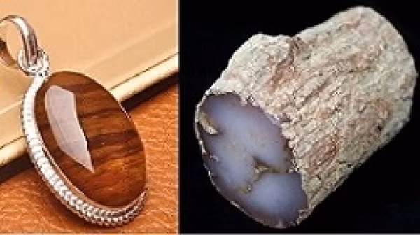 Hiện tượng gỗ hóa ngọc tạo ra những tác phẩm nghệ thuật thiên nhiên tuyệt đẹp và độc đáo.