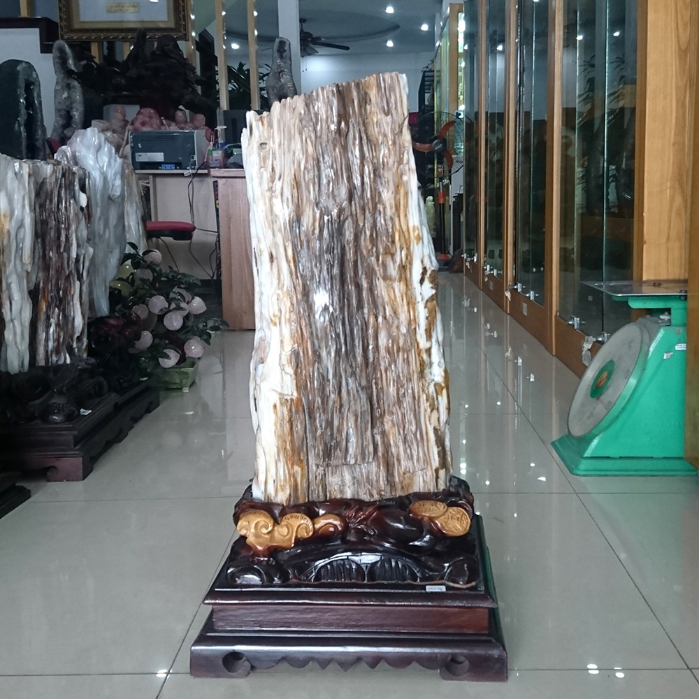 Vì tính chất độc đáo và hiếm có của nó, gỗ hóa ngọc đã trở thành một vật phẩm quý giá trong lĩnh vực nghệ thuật và trang sức.