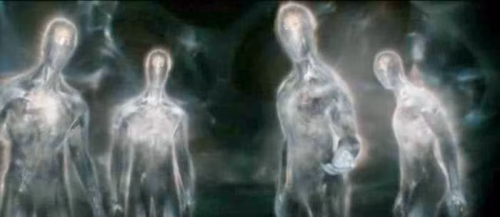 Điều này có thể liên quan đến môi trường và điều kiện thời tiết tại Canada trong những tháng này.