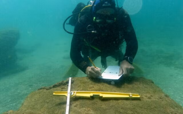 Các cuộc khảo sát sơ bộ cho thấy con tàu có thể đã gặp bão ở vùng nước nông và cố gắng thả neo, nhưng cuối cùng vẫn bị đắm.