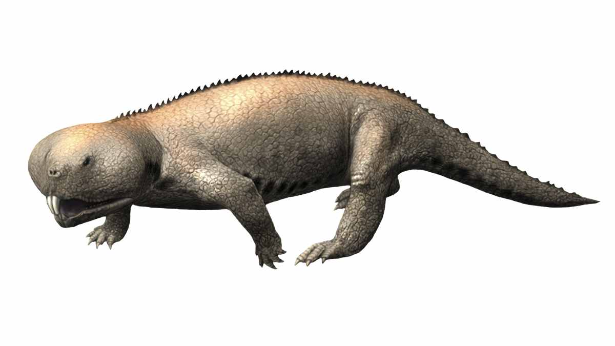 Mẫu hóa thạch được tìm thấy của " quái thú" này cho thấy nó có hình dạng "lai tạp" kỳ lạ. Nó có chiếc mỏ như vẹt, mình khủng long.