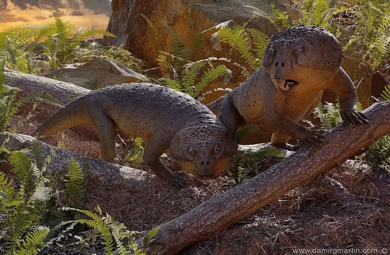 Với chiếc mỏ như vẹt và mình khủng long, Beesiiwo cooowuse đang mở ra những cánh cửa mới cho sự hiểu biết về sự đa dạng sinh học trong quá khứ.