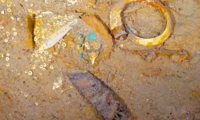 Trong số hàng trăm nghìn hình ảnh chụp dược, nhóm nghiên cứu của công ty Magellan đã phát hiện ra một chiếc vòng cổ có chứa vàng và răng của megalodon, được biết đến là loài cá mập khổng lồ được coi là "sát thủ" thống trị đại dương cổ đại.