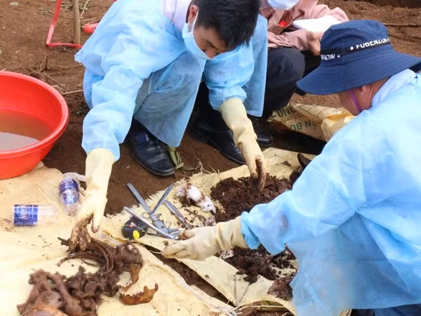 Cơ quan pháp y phân loại và giám định thi thể.