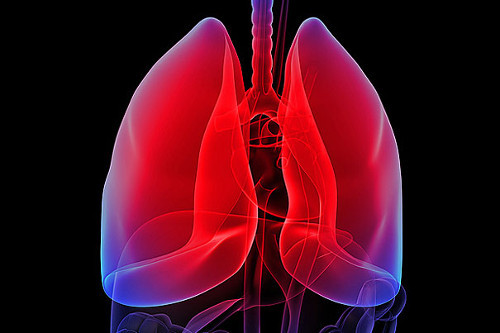 10 loi ich cua ot chuong voi suc khoe-Hinh-8