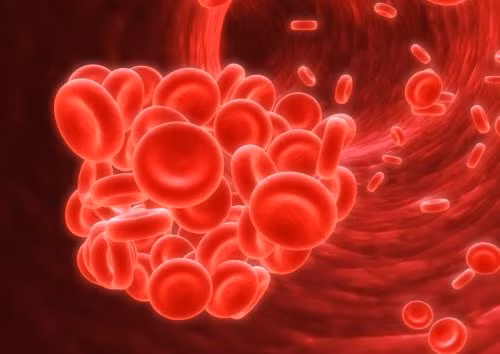 10 loi ich cua ot chuong voi suc khoe-Hinh-2