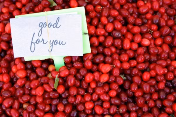 Thậm chí, loại quả này còn được ưu ái đặt tên là vua của các loại quả đối với chị em bởi nó có thể làm chậm quá trình lão hóa thay cho các loại kem đắt tiền.