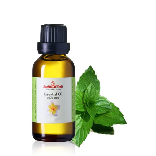 Dầu bạc hà. Dầu bạc hà có tác dụng giảm sốt và xoa dịu cảm giác mệt mỏi khi bị sốt. Có thể thêm dầu bạc hà vào nước chườm mát cho trẻ. Hoặc dùng tinh dầu bạc hà xoa bóp trên ngực và hai bên thái dương của trẻ. Ảnh: tinhdaumassage