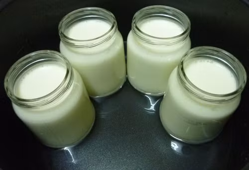 Sau đó múc sữa chua vào các hộp và đậy nắp kín. Ảnh: vincovietnam