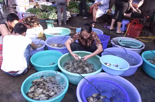 Ngoài các món thuộc nhóm “sơn hào hải vị” như tôm hùm, hải sâm, bào ngư, du khách có thể thưởng thức nhiều loại ốc độc đáo và hấp dẫn như ốc hương, ốc đĩa, ốc gai, ốc vặn, ốc mút, ốc đỏ môi…Ảnh: saigonamthuc