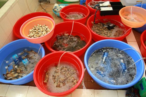 Khu vực Bến Đoan. Đây là nơi được nhiều du khách quen ở Hạ Long tìm đến. Các quán vỉa hè trên bờ kè ven biển thuộc khu vực Bến Đoan cách chân cầu Bãi Cháy chừng một km. Ảnh: hanoilive