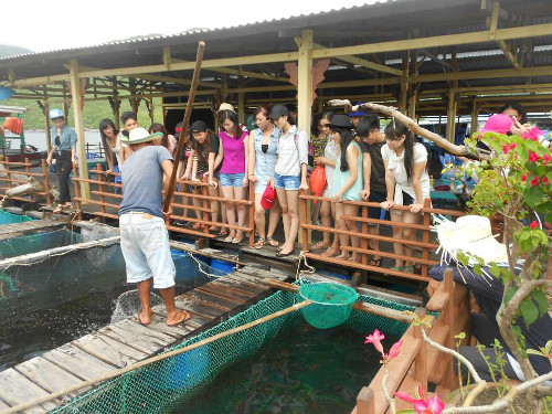 Hải sản trên bè. “Ăn bè” là một hình thức thưởng thức hải sản rất đặc trưng ở Hạ Long. Đây là cách gọi dân dã của người dân nơi đây để chỉ các nhà hàng nổi trên biển chuyên phục vụ hải sản. Có thể thưởng thức hải sản theo cách này ở nhà bè ven biển cột 5, từ Bãi Cháy đi thêm 10 km theo quốc lộ 18A. Ảnh: vietstartravel