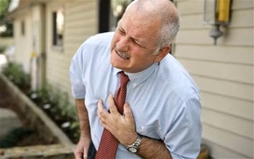 Dua le va tac dung lam dep, chua benh ky dieu kho tin-Hinh-6