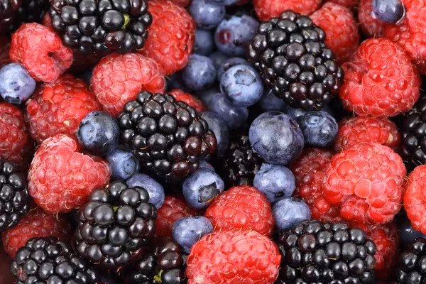 2. Quả mọng Quả mọng có chứa một số hợp chất và vitamin thúc đẩy sự phát triển của tóc, đặc biệt là vitamin C, có đặc tính chống oxy hóa mạnh. Chất chống oxy hóa giúp bảo vệ nang tóc khỏi bị hư hại bởi các gốc tự do. Cơ thể chúng ta cũng sử dụng vitamin C để sản xuất collagen, một loại protein cần thiết để ngăn ngừa tóc trở nên giòn và gãy.