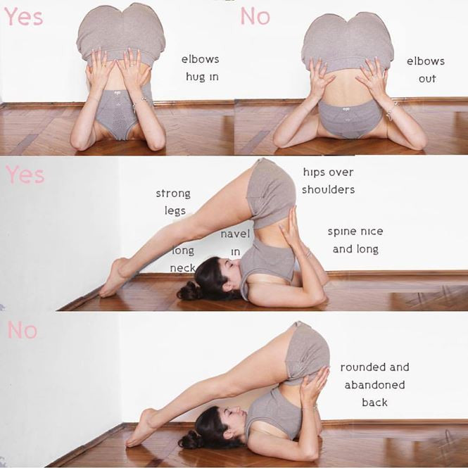 7 tu the yoga giup chua dau lung va tri chung mat ngu