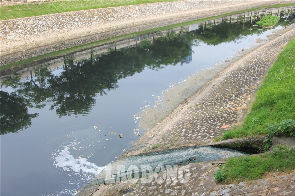 Nuoc song To Lich den tro lai, xuat hien ca chet trang noi lenh benh