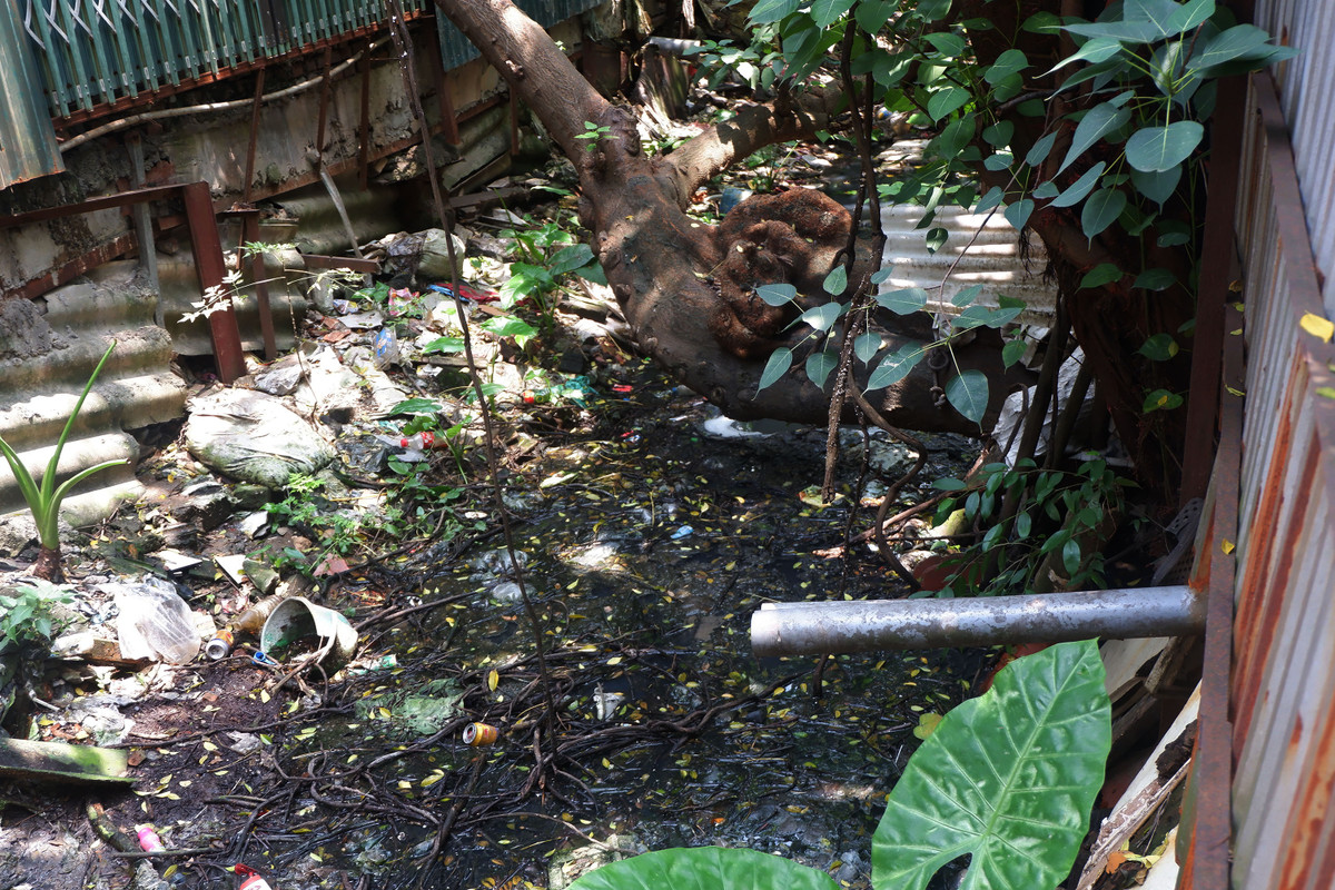 Trời nắng thì mương nước ngập rác, trời mưa thì nước dồn ứ về đen kịt, bốc mùi hôi thối.