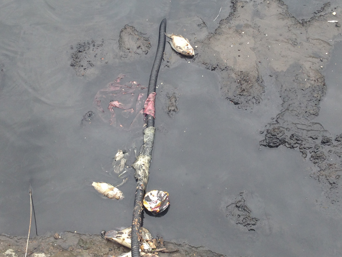 Trước đó, trong hai ngày 9 và 10-7, Công ty thoát nước Hà Nội đã xả hơn 1 triệu m3 nước từ hồ Tây vào sông Tô Lịch.