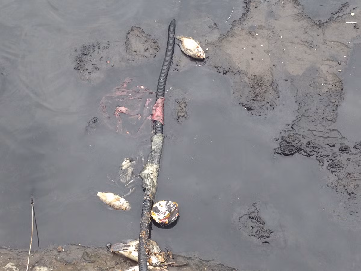 Trước đó, trong hai ngày 9 và 10-7, Công ty thoát nước Hà Nội đã xả hơn 1 triệu m3 nước từ hồ Tây vào sông Tô Lịch.