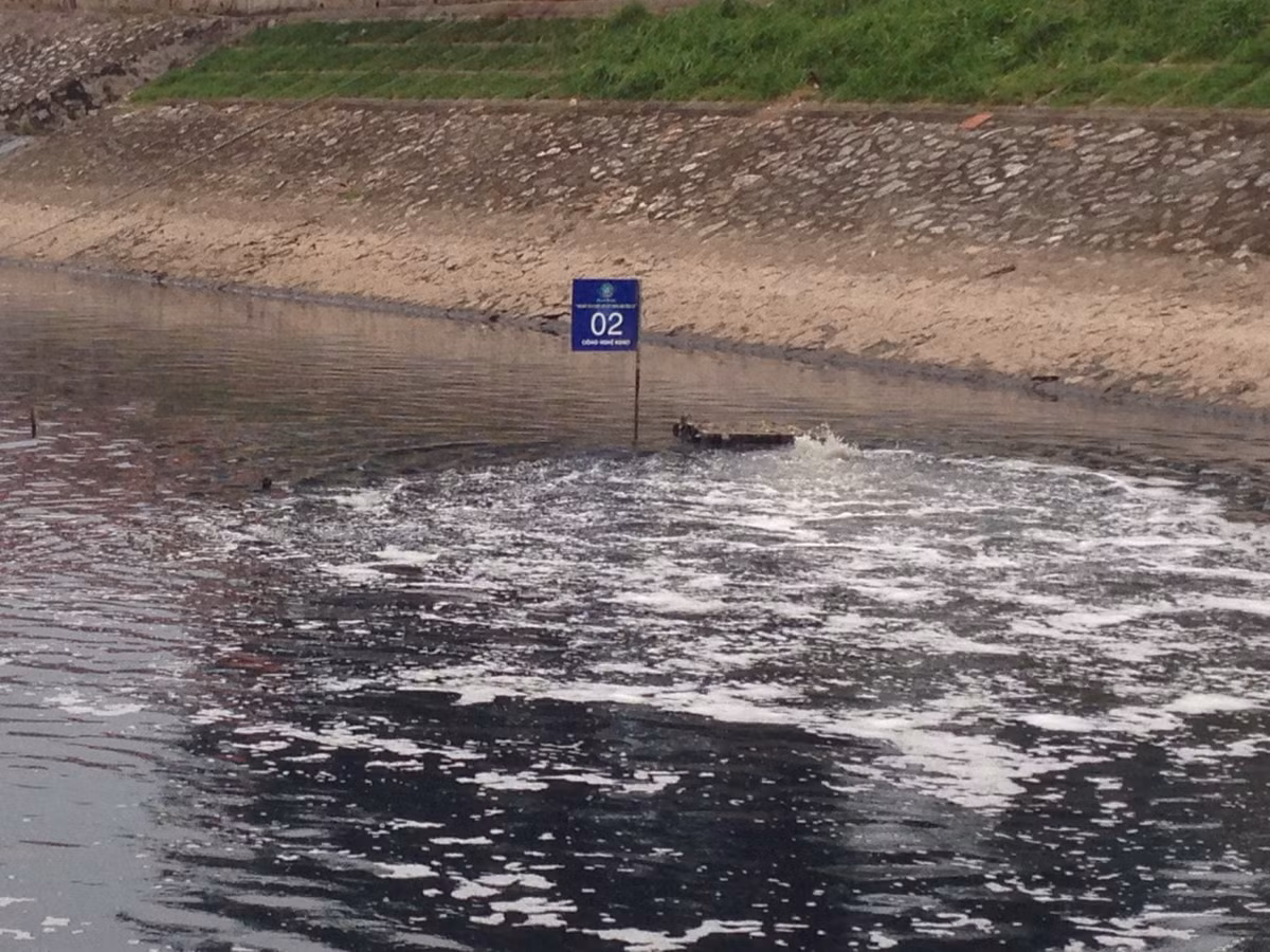 Máy sục khí Nano - Bioreactor Nhật Bản vẫn đang hoạt động.