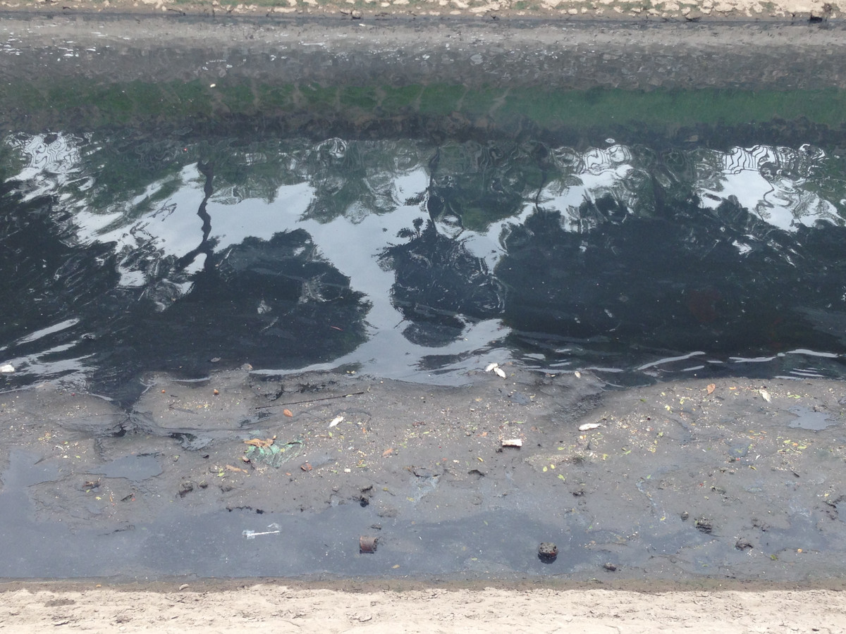 Theo anh Nguyễn Văn Toàn (chủ cửa hàng kinh doanh nước ở phố Nguyễn Đình Hoàn) nói: "Sau khi dừng xả nước từ Hồ Tây ra sông Tô Lịch là xuất hiện cá chết nổi trên sông. Trước đó, chỉ có mỗi mùi hôi của nước sông giờ lại thêm mùi thối của cá chết nữa. Không biết sông Tô Lịch bao giờ mới sạch được đây".