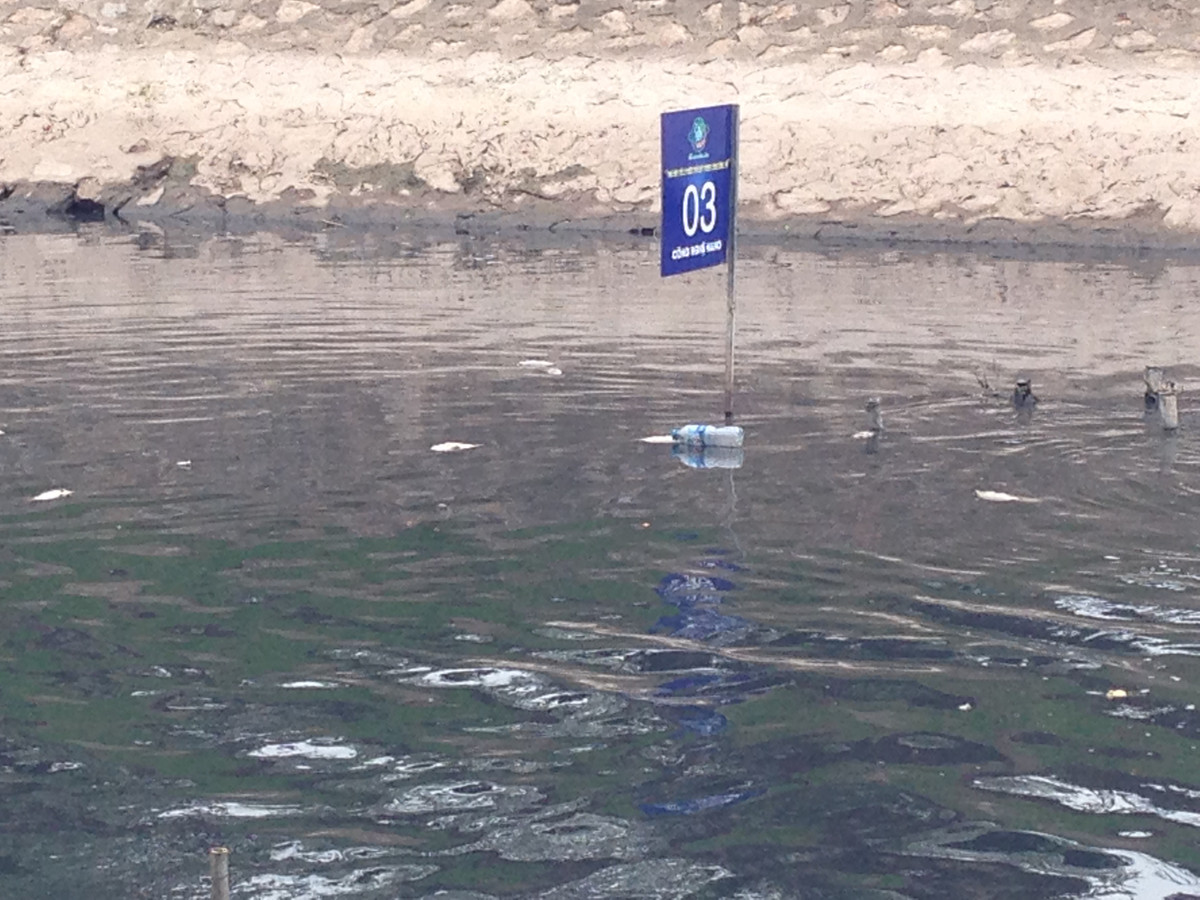 Xác cá chết nổi trắng sông Tô Lịch gần chỗ đặt máy Nano - Bioreactor Nhật Bản.