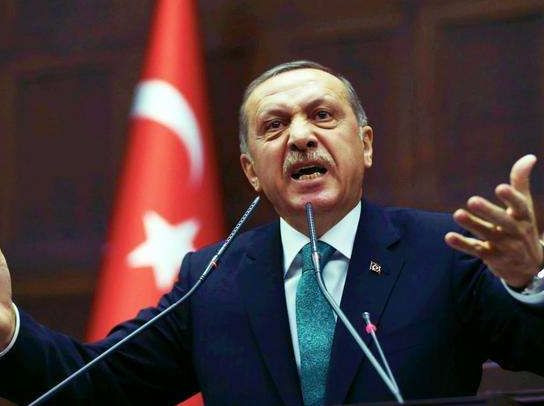 Tổng thống Thổ Nhĩ Kỳ Erdogan đã phát biểu rằng, việc đưa quân đội Thổ Nhĩ Kỳ vào Syria không phải là hành động xâm lược, mà là bảo vệ lợi ích chiến lược của Ankara; đồng thời, Thổ Nhĩ Kỳ sẽ không để chế độ Assad tiếp tục kiểm soát Idlib.
