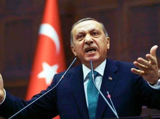 Tổng thống Thổ Nhĩ Kỳ Erdogan đã phát biểu rằng, việc đưa quân đội Thổ Nhĩ Kỳ vào Syria không phải là hành động xâm lược, mà là bảo vệ lợi ích chiến lược của Ankara; đồng thời, Thổ Nhĩ Kỳ sẽ không để chế độ Assad tiếp tục kiểm soát Idlib.
