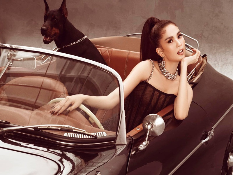 Ngọc Trinh làm CEO một công ty nhập khẩu và phân phối các sản phẩm chăm sóc sức khỏe, làm đẹp từ tháng 9/2018. Tháng 6/2020, nữ hoàng nội y tiết lộ ngày chốt 4 tỷ tiền đơn hàng, doanh thu 1,6 tỷ.