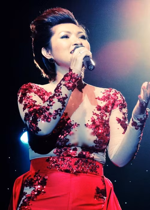 "Tôi thân cô thế cô, thường xuyên khóc vì cô đơn. Tôi tự mình vượt qua tất cả, tự học tiếng Anh, tích cóp tiền để mua xe, thi bằng lái để chủ động hơn trong cuộc sống. Tôi nỗ lực hát thật tốt để khán giả đến xem tôi phải nghe hát thay vì xem cô ca sĩ vướng scandal", Hồng Nhung chia sẻ trên Lao Động.