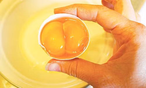 Dan Viet san lung trung ga song sinh de lam gi?