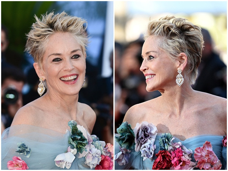 Nữ diễn viên 63 tuổi giữ vẻ rạng rỡ tại sự kiện. Ảnh: Zimbio