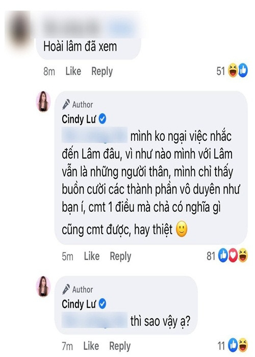 Vo cu Hoai Lam dap tra khi bi canh bao “can than bi an dam”-Hinh-2