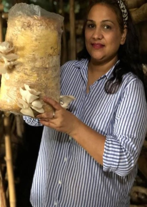 Giờ đây, nhóm của Satinder có thể làm việc độc lập trong việc tạo giá thể và trồng nấm mà không cần sự trợ giúp.