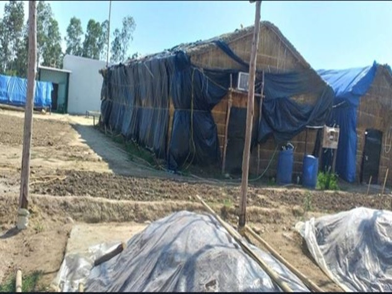 Nấm của cơ sở này được bán ở chợ, các địa điểm tổ chức đám cưới, nhà hàng và khách hàng lẻ có nhu cầu mua.