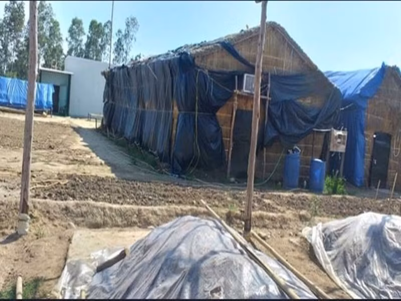 Nấm của cơ sở này được bán ở chợ, các địa điểm tổ chức đám cưới, nhà hàng và khách hàng lẻ có nhu cầu mua.