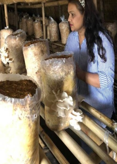 Nhóm cộng sự của Satinder có 10 người dân địa phương, trong đó có 2 người rời Delhi về quê vì dịch.