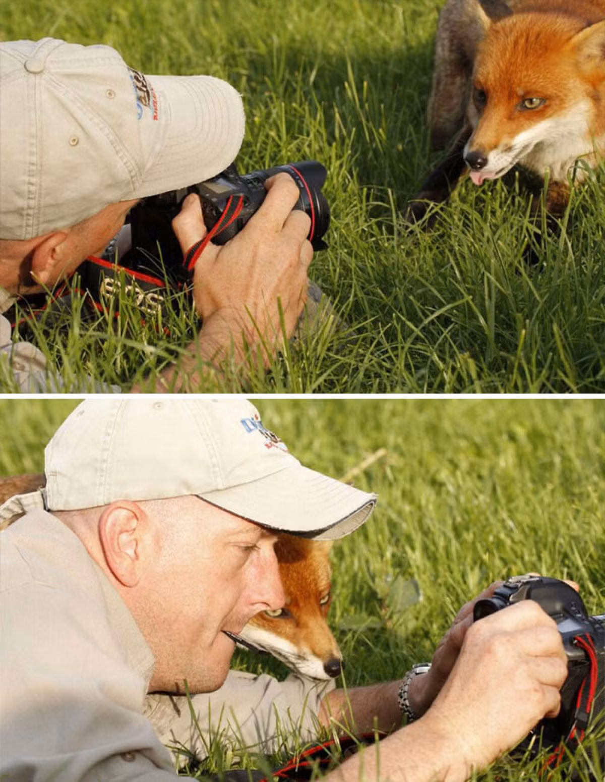 Hãy để tôi xem ông bạn chụp có đẹp không nào!