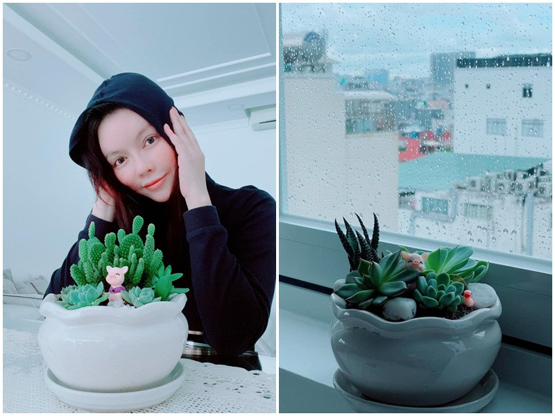 Trên trang cá nhân, Lý Nhã Kỳ liên tục cập nhật cuộc sống đời thường.