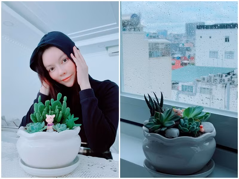 Trên trang cá nhân, Lý Nhã Kỳ liên tục cập nhật cuộc sống đời thường.