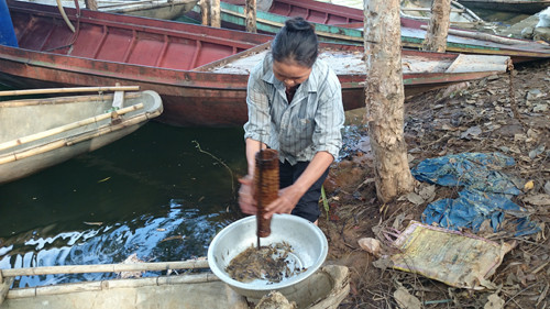 Người dân ven Hồ Thác Bà đã đánh tôm bằng mồi xi măng từ chục năm nay.