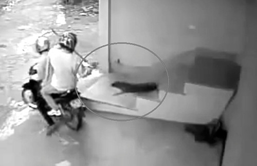 Nguy bien nuc cuoi cua ke trom cho