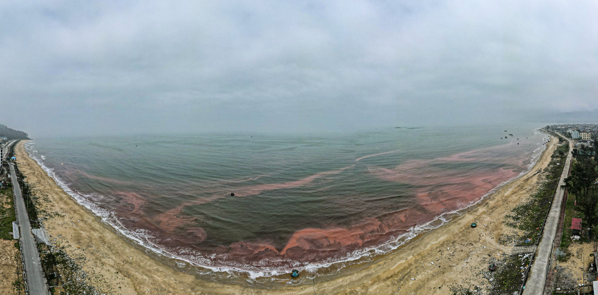 Theo ghi nhận của PV, chiều 25/3, hơn 3km bờ bãi biển xã Cẩm Nhượng (giáp với khu vực du lịch biển Thiên Cầm) xuất hiện hiện tượng nước biển chuyển thành màu đỏ đậm. Nhiều vị trí rộng khoảng 100m (tính từ bờ biển trở ra).