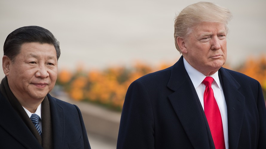 My tom duoc con ca voi lon trong vu bat giu 