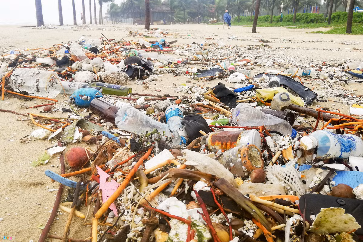 Rac ngap bai bien Da Nang sau mua lut-Hinh-7