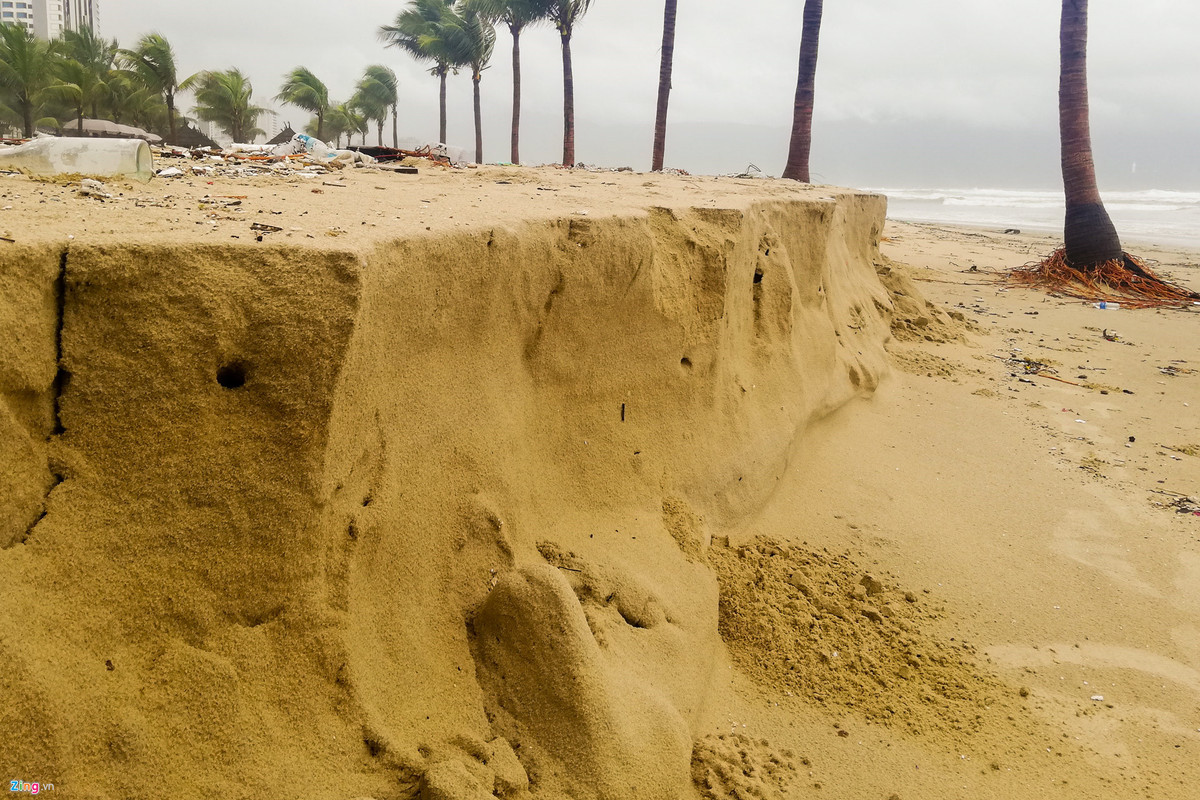 Rac ngap bai bien Da Nang sau mua lut-Hinh-9